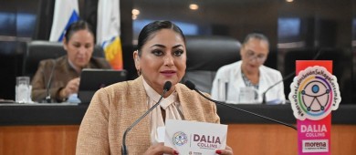 Que se garanticen los espacios recreativos para personas con discapacidad en BCS, piden desde el congreso