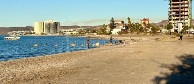 Rechaza la alcaldesa de La Paz privatización de playas “Estamos tomando acciones”