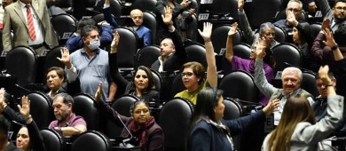 Diputados aprueban en lo general reforma contra el nepotismo