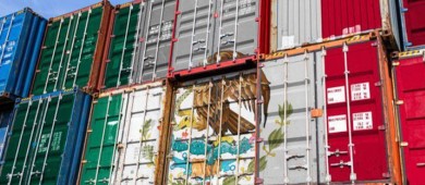 De seguir aranceles, buscaremos a Canadá y otros países: Sheinbaum