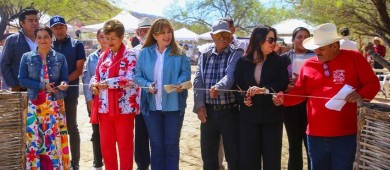 Todo un éxito el Festival Artesanal de El Triunfo