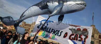 SEMAR otorgó concesión a gasera Saguaro sin permisos ambientales