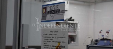 En BCS se han detectado 12 muertes por fentanilo: Vázquez Jacinto