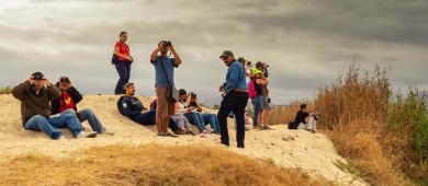 UABCS contribuye al reconocimiento de Los Cabos como “Bird City”