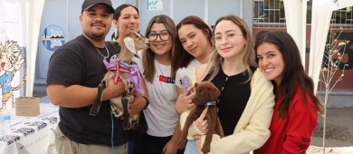 UABCS promueve la adopción responsable de perros y gatos con feria de sensibilización