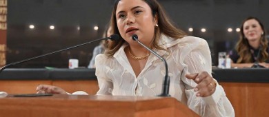 Solicitan al IPDPR la donación de 2 aeronaves para temas de salud e incendios forestales en BCS