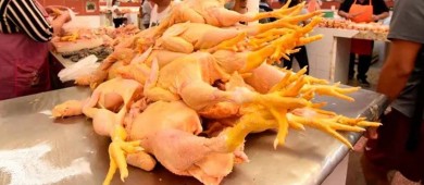 Consumir pollo y huevo no representa peligro de contagio de influenza aviar: Ssa