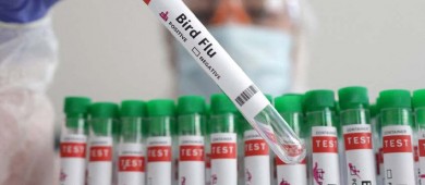 Muere una niña mexicana de 3 años con gripe aviar, el primer caso humano en México