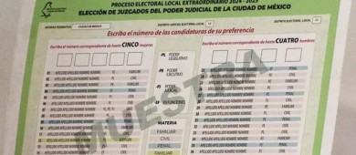 Morena logra mayoría en Senado y nombra magistrados electorales en 30 estados