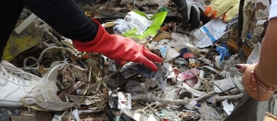 Emiten recomendaciones para el cuidado de las playas de La Paz