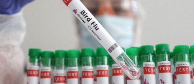 México activa protocolo sanitario por presencia de influenza aviar en una granja en Nuevo León