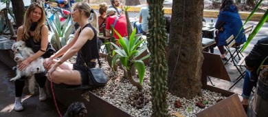 Sheinbaum asegura que en México también hay muchos estadounidenses que ‘no tienen documentos’