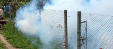 Casos de dengue en México superan los 3 mil; reportan 18 muertes