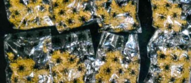 FGR vincula a proceso a 5 personas por portación de armas de fuego y delitos contra la salud