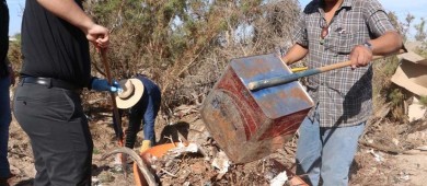 UABCS participa en Jornada Nacional de Tequios por La Paz en los cinco municipios del estado