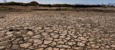 Plantean estrategias contra crisis climática