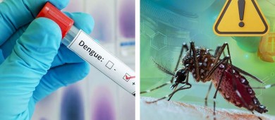 México suma más de 3 mil 500 casos de dengue; Jalisco encabeza la lista