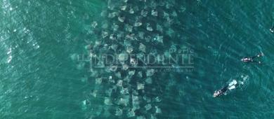 Pescadores de Agua Amarga y ONG se oponen al proyecto inmobiliario en playa Punta Arena