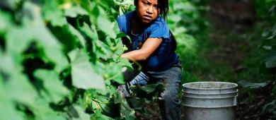 Preocupa persistencia del trabajo infantil en México