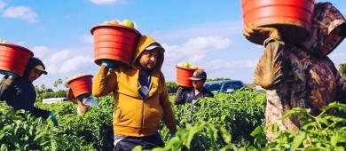 IMSS afilia a más de 14 mil connacionales que viven en Estados Unidos