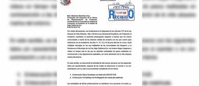 Senadora presenta denuncia por sobrepesca de barcos atuneros en Baja California Sur