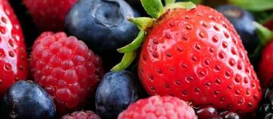 Exportadores prevén que México tenga ventas récord de fresas a EU