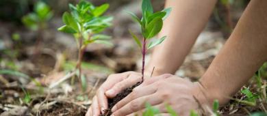 Presentan Programa Nacional de Restauración Ambiental con metas al 2030