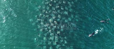 De la pesca al turismo, así es como pescadores de Agua Amarga sustituyen la captura de tiburón