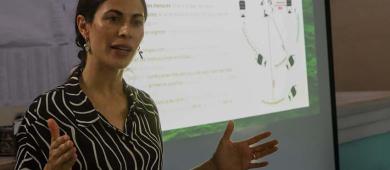 Aprueban programa de observación turística de Orcas en El Sargento, La Ventana y Agua Amarga