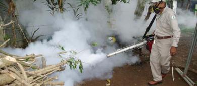 Van más de 6 mil casos de dengue en el país; 56% de ellos en 5 estados