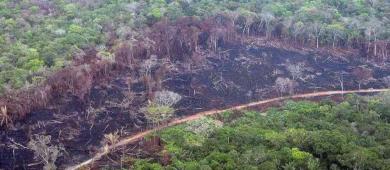 Retrocede México 24 lugares en el Índice de Desempeño Ambiental