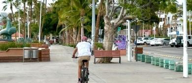 Ayuntamiento regulará el uso de unidades móviles y mascotas en el malecón de La Paz