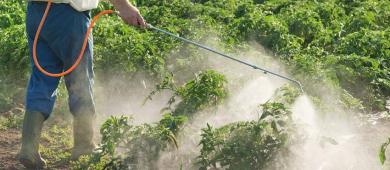Prohíbe México el uso de 35 moléculas plaguicidas: Son 'altamente peligrosas'