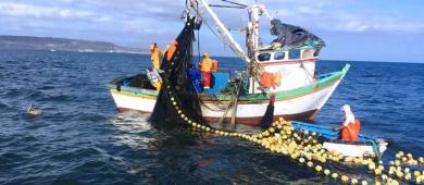 Impone EU embargo comercial contra 21 pesquerías mexicanas por muerte de especies