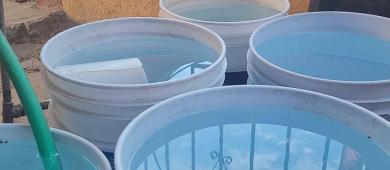 Tras las lluvias, recomiendan a la población y desinfección en casa para evitar alergias