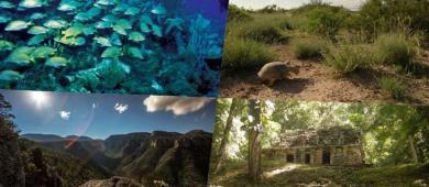 Presupuesto 2026 prevé monto más bajo en 21 años para áreas naturales protegidas: NOSSA