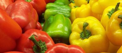 Japón autoriza ingreso de pimiento morrón tras 16 años de negociaciones: productores