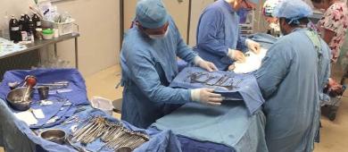 Llaman a la población a adoptar la cultura de donación de órganos y tejidos