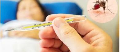 Dengue sigue en aumento en México; se reportan 567 casos en una semana