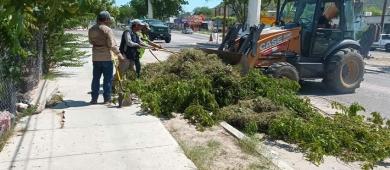 Servicios Públicos de La Paz atiende reportes ciudadanos con limpieza y mantenimiento de caminos
