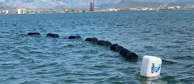 Entrega UABCS semillas de ostión a la Asociación Civil “Guardianas de El Conchalito”