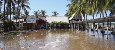 'Priscilla' deja daños puntuales en BCS, Jalisco y Nayarit, sin reporte de lesionados o fallecidos