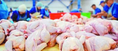 Cierran frontera a carne avícola procedente de EU