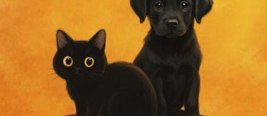 Rituales de sacrificio y maltrato de perros y gatos podrían aumentar en octubre y noviembre: SSC