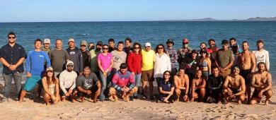 Promueve La Paz seguridad en actividades de avistamiento y nado con orcas