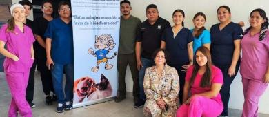 Realizan jornada de esterilización canina y felina en UABCS Ciudad Insurgentes