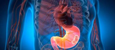 Siete de cada diez mexicanos tienen la bacteria vinculada al cáncer gástrico