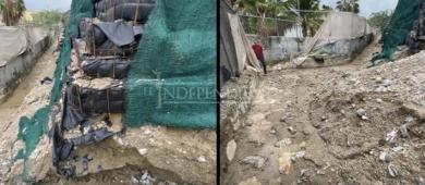 Denuncian vecinos en SJC desmonte irregular, afectación a flora y viviendas en riesgo