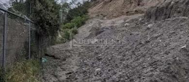 Denuncian vecinos en SJC desmonte irregular, afectación a flora y viviendas en riesgo