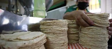 Solo 100 tortillerías de más de 100,000 se han sumado al plan contra la inflación de Sheinbaum